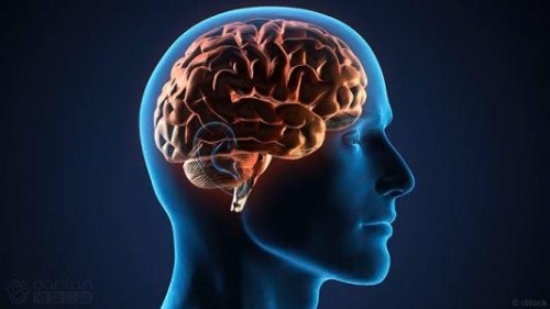 儿童多动症药物或能增加健康人的积极情绪
